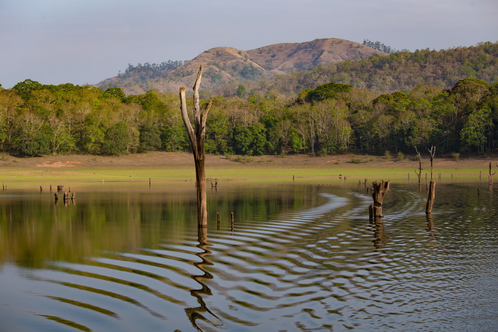 Golden hour at Banasura Lake